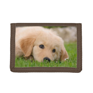 Golden Retriever Cute Puppy Dreaming Meadow, Purse Drievoud Portemonnee