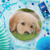 Golden Retriever Cute Puppy Dreaming, Partij Papieren Bordje (Feest)