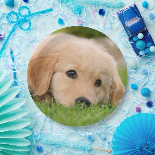 Golden Retriever Cute Puppy Dreaming, Partij Papieren Bordje (Feest)