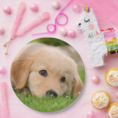 Golden Retriever Cute Puppy Dreaming, Partij Papieren Bordje (Feest)