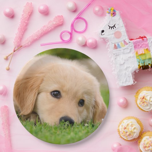 Golden Retriever Cute Puppy Dreaming, Partij Papieren Bordje (Feest)