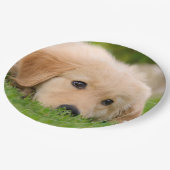 Golden Retriever Cute Puppy Dreaming, Partij Papieren Bordje (Gekanteld)