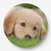 Golden Retriever Cute Puppy Dreaming, Partij Papieren Bordje (Voorkant)