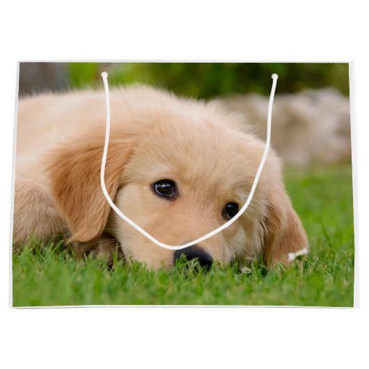 Golden Retriever Cute Puppy Dreaming Portret - Groot Cadeauzakje (Voorkant)