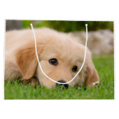 Golden Retriever Cute Puppy Dreaming Portret - Groot Cadeauzakje (Achterkant)