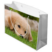 Golden Retriever Cute Puppy Dreaming Portret - Groot Cadeauzakje (Achterkant Gekanteld)