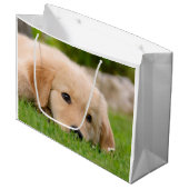 Golden Retriever Cute Puppy Dreaming Portret - Groot Cadeauzakje (Voorkant Gekanteld)