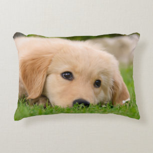 Golden Retriever Cute Puppy Dreaming, Throw Decoratief Kussen