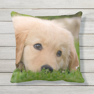 Golden Retriever Cute Puppy Dreaming voor buiten Buitenkussen