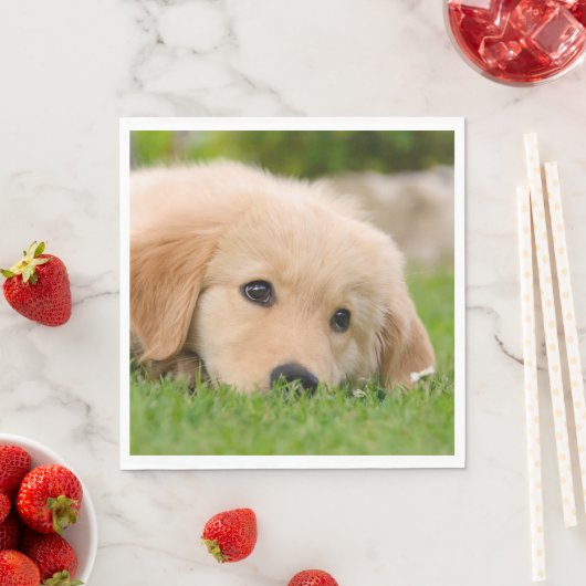 Golden Retriever Cute Puppy Dreams Dog Foto Servetten (Insitu)