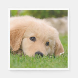 Golden Retriever Cute Puppy Dreams Dog Foto Servetten