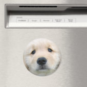 Golden Retriever Cute Puppy Magneet (Insitu (Vaatwasser))