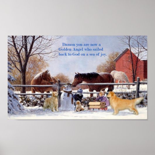Golden Retriever Damon Poster (Voorkant)