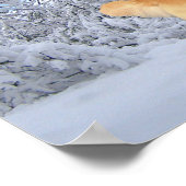 Golden Retriever Danny Boy Print (Hoek)