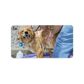 Golden Retriever - Dat is de plek! Etiket (Voorkant)
