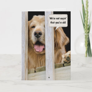 Golden Retriever die oude Humor krijgt Kaart