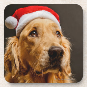 Golden Retriever die zich voor zijn kerstfeest inz Bier Onderzetter