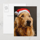 Golden Retriever die zich voor zijn kerstfeest inz Feestdagenkaart (Voorkant / Achterkant)