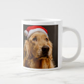 Golden Retriever die zich voor zijn kerstfeest inz Grote Koffiekop (Rechts)
