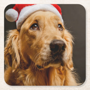 Golden Retriever die zich voor zijn kerstfeest inz Kartonnen Onderzetters