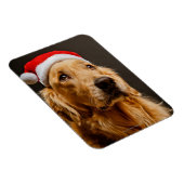 Golden Retriever die zich voor zijn kerstfeest inz Magneet (Rechterzijde)