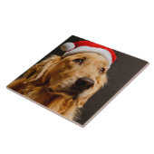 Golden Retriever die zich voor zijn kerstfeest inz Tegeltje (Zijkant)