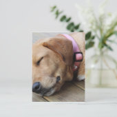 Golden Retriever Dog #4 Briefkaart (Staand voorkant)