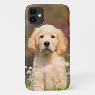Golden Retriever Dog Cute Goldie Puppy Portrait - Case-Mate iPhone Case