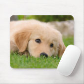 Golden Retriever Dog Cute Puppy Dreaming Muismat (Met muis)