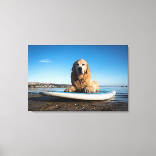 Golden Retriever Dog die op een pedaalbord leest Canvas Afdruk (Voorkant)