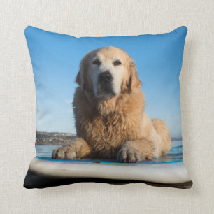 Golden Retriever Dog die op een pedaalbord leest Kussen
