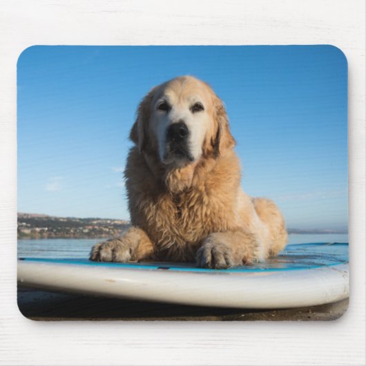 Golden Retriever Dog die op een pedaalbord leest Muismat (Voorkant)