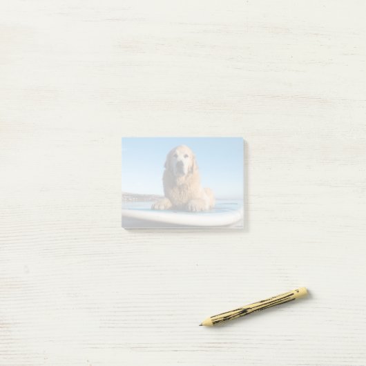 Golden Retriever Dog die op een pedaalbord leest Post-it® Notes (Op bureau)
