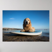 Golden Retriever Dog die op een pedaalbord leest Poster (Voorkant)