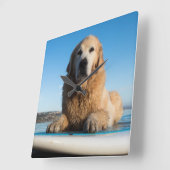 Golden Retriever Dog die op een pedaalbord leest Vierkante Klok (Hoek)