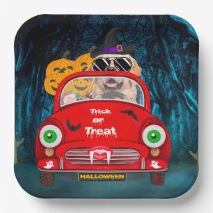 Golden Retriever Dog Driving Car Scary Halloween Papieren Bordje