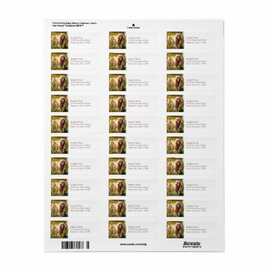 Golden Retriever Dog Etiket (Full Sheet)