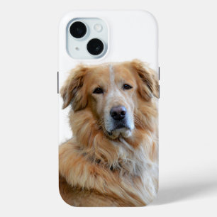 Golden Retriever Dog Foto iPhone 15 Case