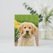 Golden Retriever Dog, Geel Briefkaart Daffodils (Staand voorkant)