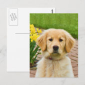Golden Retriever Dog, Geel Briefkaart Daffodils (Voorkant / Achterkant)