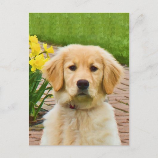 Golden Retriever Dog, Geel Briefkaart Daffodils (Voorkant)