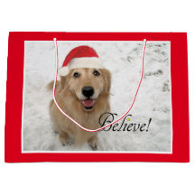 Golden Retriever Dog gelooft kerst