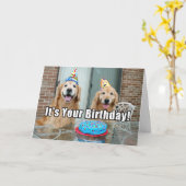 Golden Retriever Dog Happy Birthday Cake Kaart (Gele Bloem)