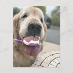 Golden Retriever Dog Het is altijd Ice Cream O'Clo Briefkaart