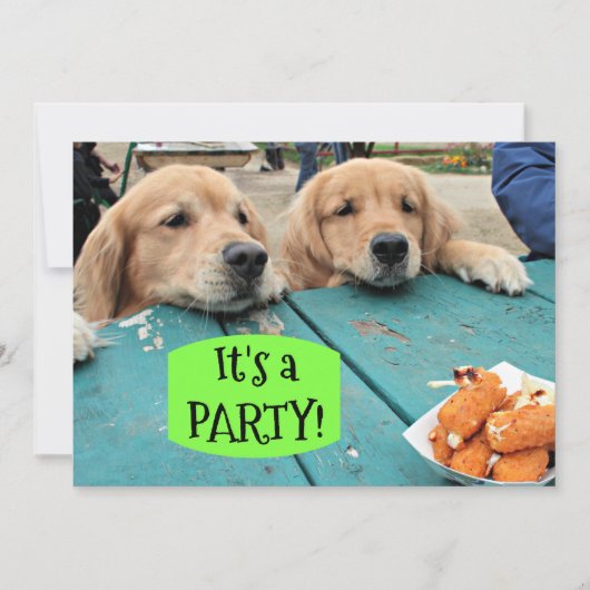 Golden Retriever Dog Het is een feestuitnodiging Kaart (Voorkant)