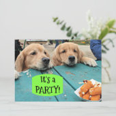 Golden Retriever Dog Het is een feestuitnodiging Kaart (Staand voorkant)