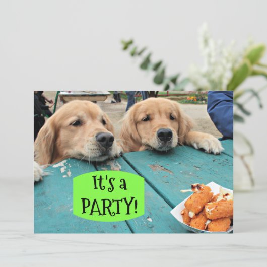 Golden Retriever Dog Het is een feestuitnodiging Kaart (Staand voorkant)
