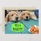 Golden Retriever Dog Het is een feestuitnodiging Kaart (Voorkant / Achterkant)