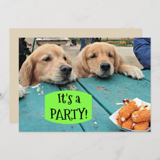Golden Retriever Dog Het is een feestuitnodiging Kaart (Voorkant / Achterkant)
