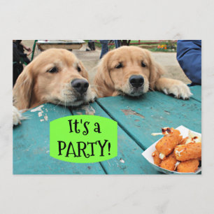 Golden Retriever Dog Het is een feestuitnodiging Kaart